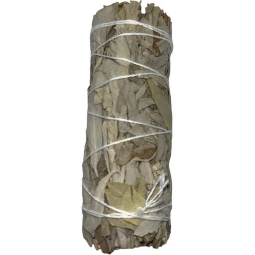 HOSTENATURA Atado Salvia Blanca de California